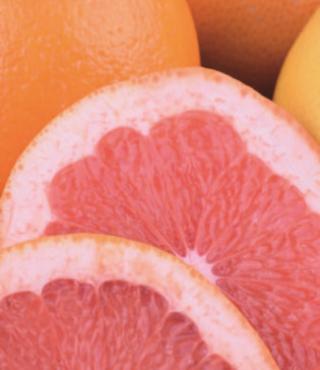 Grapefruit i pomarańcza sorbet