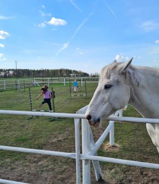 Atrakcja - zabawa Hobby Horse