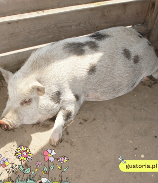 Wycieczka szkolna - lekcje przyrody