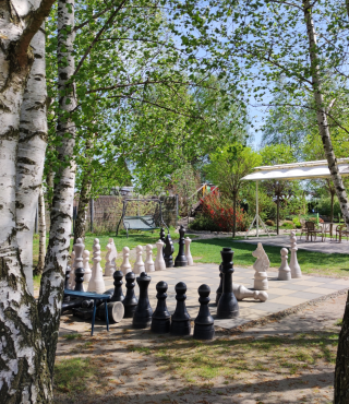 Szachy wśród brzóz