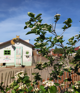 Barwna Bajkowa zagroda 