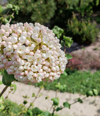 Piękno przyrody na każdym kroku