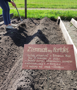 Tradycyjna i naturalna uprawa