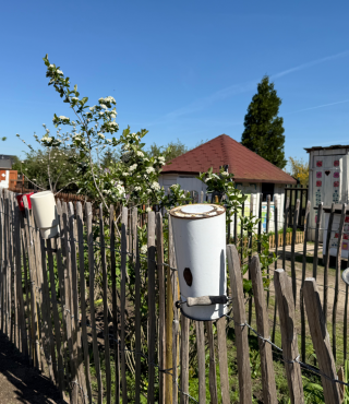 Piękno wiejskiego życia