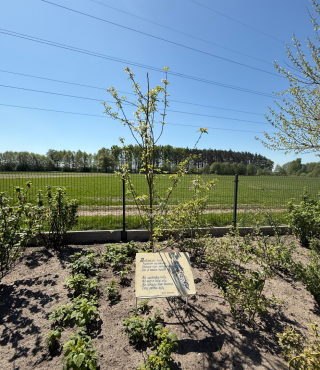 Strefa edukacyjna - warzywnik