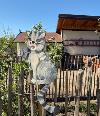 Sympatyczne niespodzianki