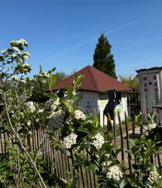 Piękno natury na każdym kroku