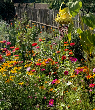 Inspirująca i barwna przestrzeń