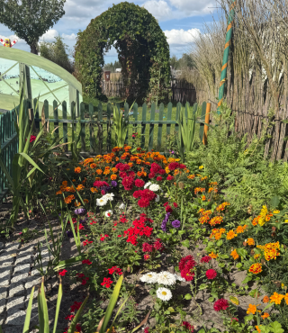 Kwietniki zachwycające kolorami