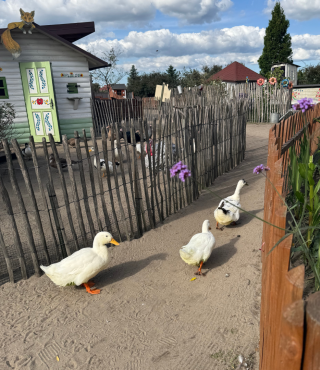 Przygoda w Bajkowej Zagrodzie