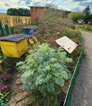 Edukacyjne ścieżki