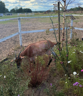 W poszukiwaniu przygód
