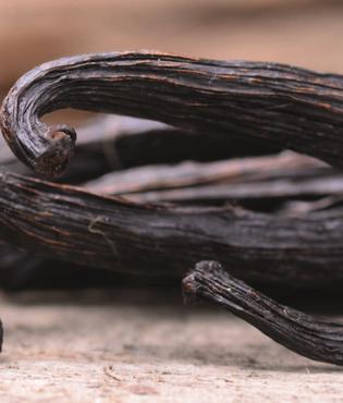Lody śmietankowe - czarna wanilia