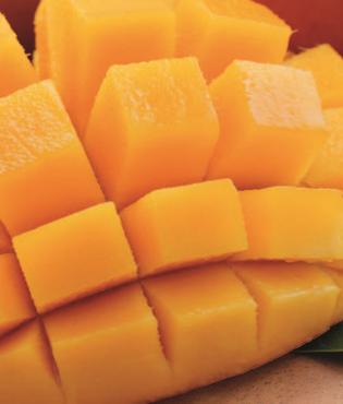 Sorbet premium - mango
