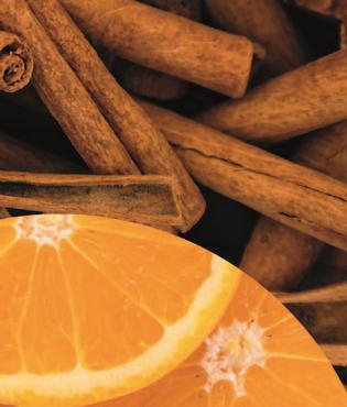 Lody śmietankowe - cynamon z pomarańczą
