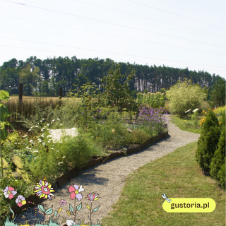 Ogród bajek Opolskie