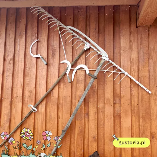 Kosy, sierpy rolnicze w parku Gustoria