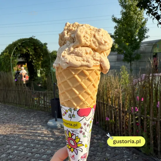 Lody kraftowe Gustorii